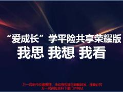 学平险目标市场分析经营关键动作10页.pptx