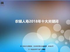 农银人寿2018年十大关键词20页.ppt