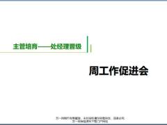 主管培育周工作促进会含备注45页.pptx