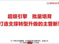 主管培育3.0体系介绍推广要求109页.pptx