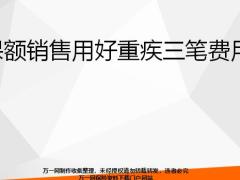 保额销售用好重疾三笔费用19页.pptx