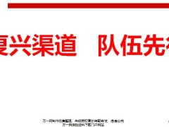 银保渠道分享经队伍基本情况问题难点强势推动管理运作21页.pptx