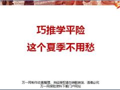 学平险亮点分析客户画像销售逻辑案例分享推动总结8页.pptx