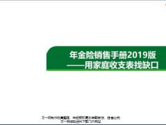 年金險(xiǎn)銷售手冊(cè)2019版用家庭收支表找缺口3頁(yè).pptx