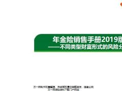 年金險(xiǎn)銷售手冊(cè)2019版不同類型財(cái)富形式的風(fēng)險(xiǎn)分析10頁(yè).pptx