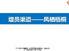 增員渠道鳳棲梧桐政策支持渠道籌建人畫像面談后續(xù)支持32頁.pptx