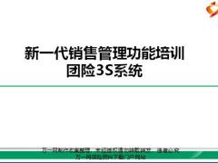 新一代销售管理功能团险3S系统建设背景成果未来规划重点关注支持内容38页.pptx