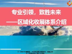 区域化收展成立背景定位文化愿景队伍发展思路63页.pptx