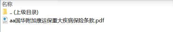 国华附加康运保重大疾病保险条款.zip