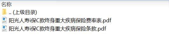 阳光人寿i保C款终身重大疾病保险条款费率.zip