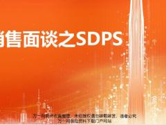 銷售面談回顧及SDPS31頁.pptx