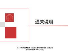 新人育成工作培训通关说明7页.pptx