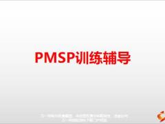 PMSP训练辅导重要性原则方法流程时机61页.pptx