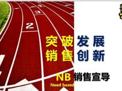 NB銷售宣導(dǎo)片突破發(fā)展銷售創(chuàng)新15頁.pptx