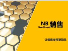 NB銷售守則專業(yè)化流程29頁.pptx