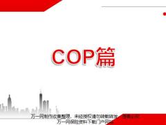 高質(zhì)增員COP創(chuàng)業(yè)說明會(huì)操作手冊(cè)17頁.pptx