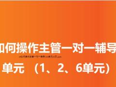 如何操作主管一对一辅导126单元33页.pptx