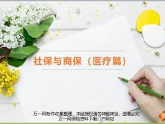 社保概述基本医疗保险知识点V字图法32页.pptx