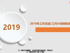 2019年工作總結(jié)工作計(jì)劃微粒體ppt模板26頁.pptx