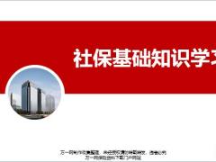 新人培训1社保基础知识阶梯图演示47页.pptx