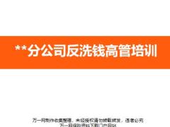 2019年分公司反洗钱工作环境内容要求监管检查履职18页.pptx