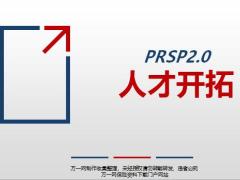 PRSP2.0二人才开拓重要性有效渠道20页.pptx