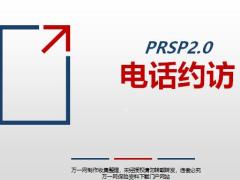 PRSP2.0三電話約訪目的前期準(zhǔn)備關(guān)鍵步驟異議處理11頁(yè).pptx