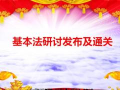 基本法研讨发布及通关流程12页.pptx