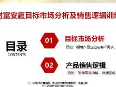 太平财富安赢目标市场分析及销售逻辑训练18页.pptx