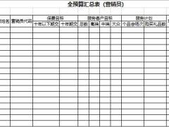 支公司單元營銷員全預(yù)算匯總表2頁.xlsx