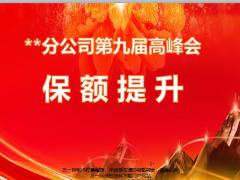 分公司高峰会保额提升重要性具体动作个人目标35页.pptx