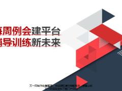 辅导训练典范发展成效方法未来32页.pptx