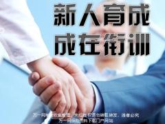 衔接培训现状新人育成节奏30页.pptx