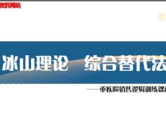 视频培训分享剪掉综合替代法冰山理论.zip
