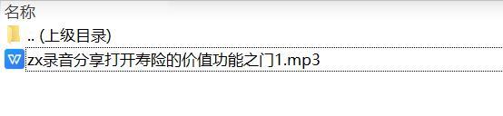 录音分享打开寿险的价值功能之门1.zip