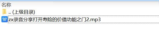 录音分享打开寿险的价值功能之门2.zip