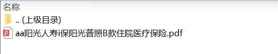 阳光人寿i保阳光普照B款住院医疗保险条款.zip