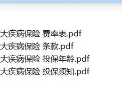 光大永明健康无忧D款重大疾病保险条款条款费率投保规则.zip