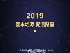 核心发展战略健康人海新人培训体系新人一体化培养38页.pptx