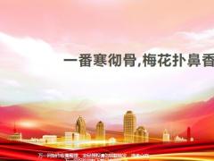 孤儿保单认识意义服务流程客户经营案例分享44页.pptx