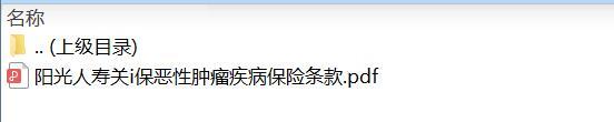 阳光人寿关i保恶性肿瘤疾病保险条款.zip
