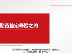 分享簡單勤奮墊定壽險之路聚焦價值觀念方法步驟工具16頁.pptx