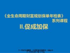 全生命周期財(cái)富規(guī)劃保單年檢表之促成加保16頁.pptx