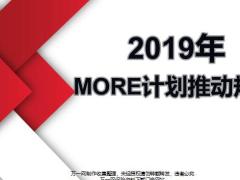 2019年年度計劃推動規(guī)劃服務夯實技能強化聯(lián)動深入13頁.pptx