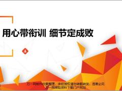 用心带衔训操作流程要点分享22页.pptx