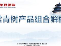新兵战斗营培训课程2019版4华夏常青树产品组合解析产品组合训练通关含备注28页.pptx