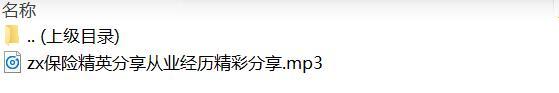 录音保险精英分享从业经历精彩分享.zip