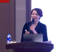 视频精英分享精致四会提质新人.zip