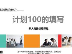 专业化销售流程之计划100的填写意义含备注30页.pptx