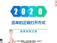 孤单经营之介绍分析正确打开方式案例分析32页.pptx